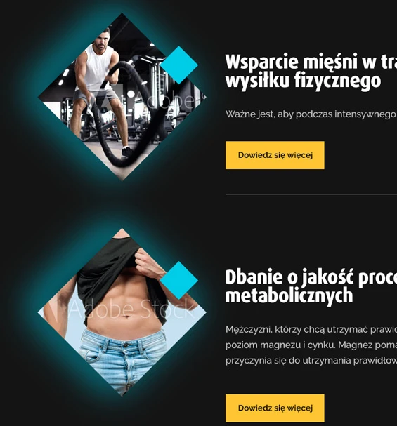 project